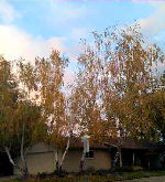 Thumbnail image for Wordless Wednesday